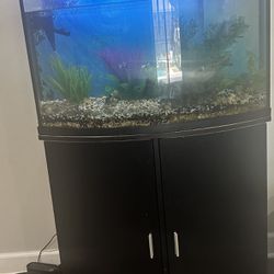 Aquarium Fish Tank 40 Gallons 