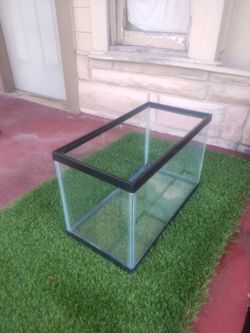 Fish Tank