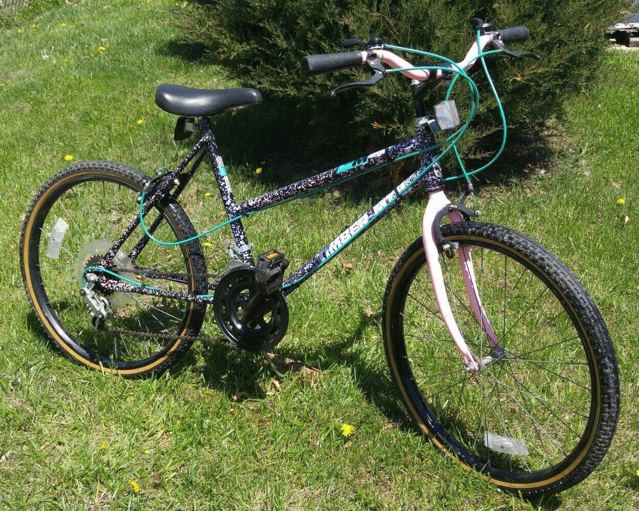 Murray mt climber 10 speed 2025