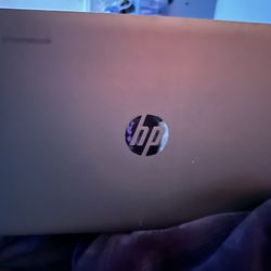 Hp Chromebook