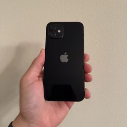 iPhone 12 