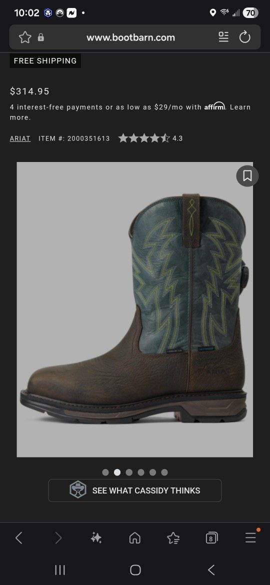 Ariat WorkHog 10.5 D