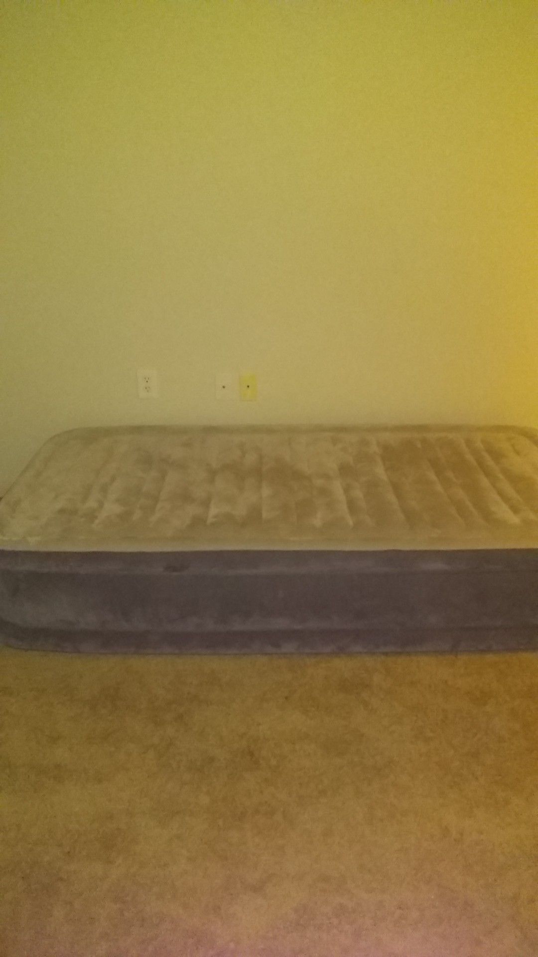 Air mattress ((twin size))