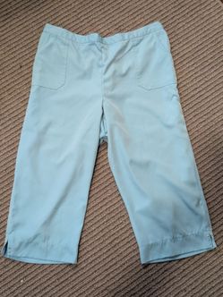 fred dunnur Women’s Blue Solid Canvas Capri Pants Studded Pockets Pull On 18