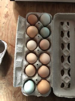 Farm eggs