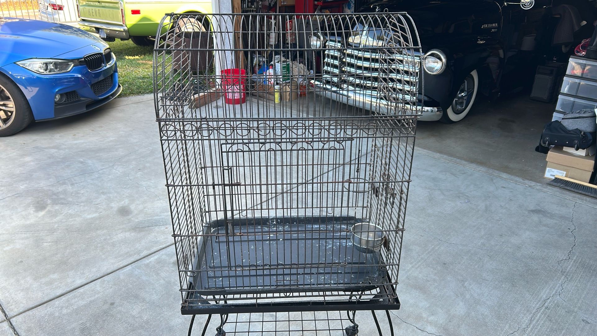 Bird Cage