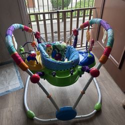 Baby Einstein Jumper