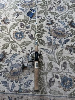 shakespeare fishing rods