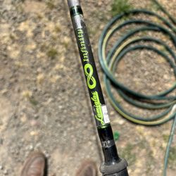 Lamiglas Infinity Fishing Rod