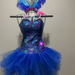 Peacock Eny Costume 