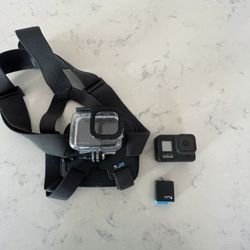 GoPro Hero 8, Chest Mount, One Battery 