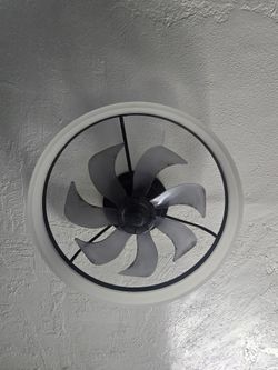 Black Ceiling Fan/Light