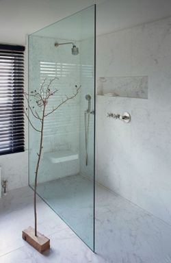Shower Glass Panel
