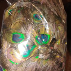 Peacock Feathers