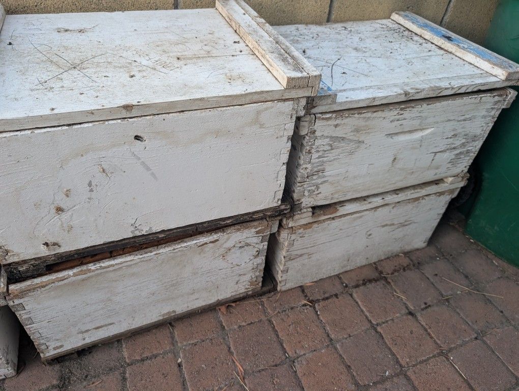 Beehive Boxes