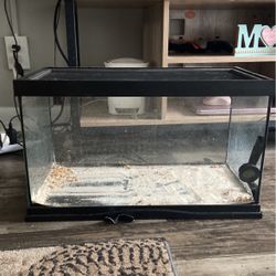 10 Gallon Tank