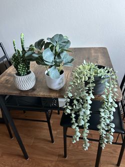 Set of 3 Mini Artificial Plants – Cactus & Greenery