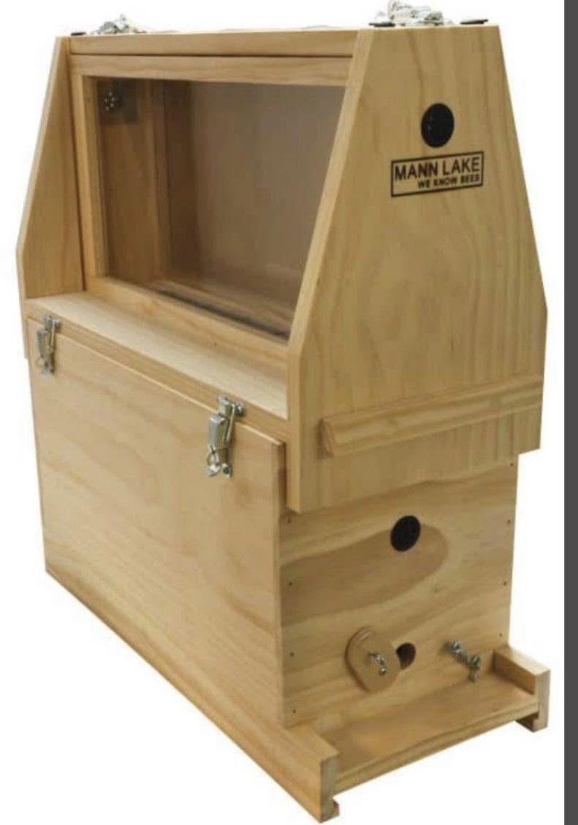 Bee Hive Observation