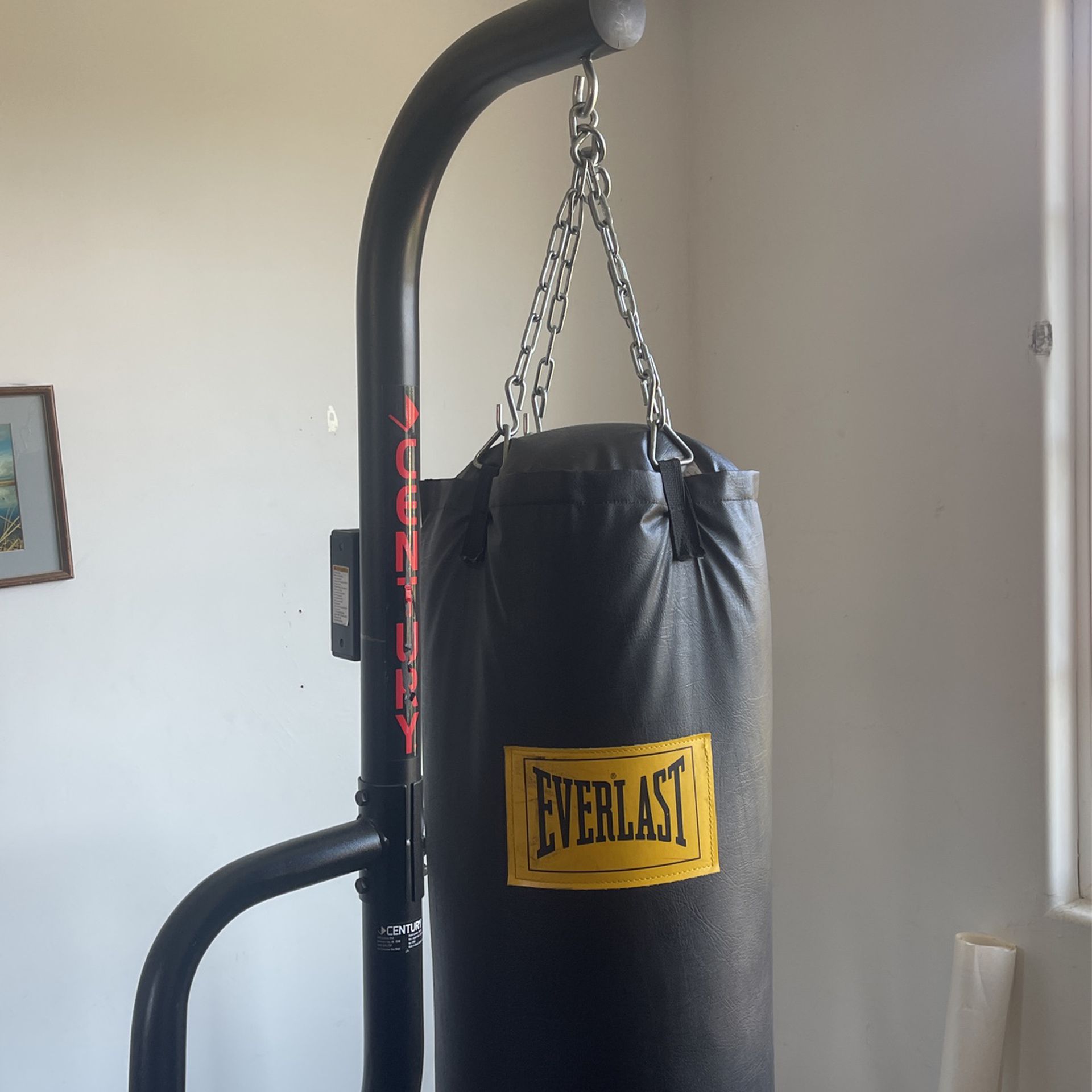 100lb Boxing bag w/ stand& speed bag mount 