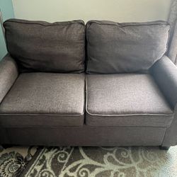Gray Loveseat With Pullout Twin 