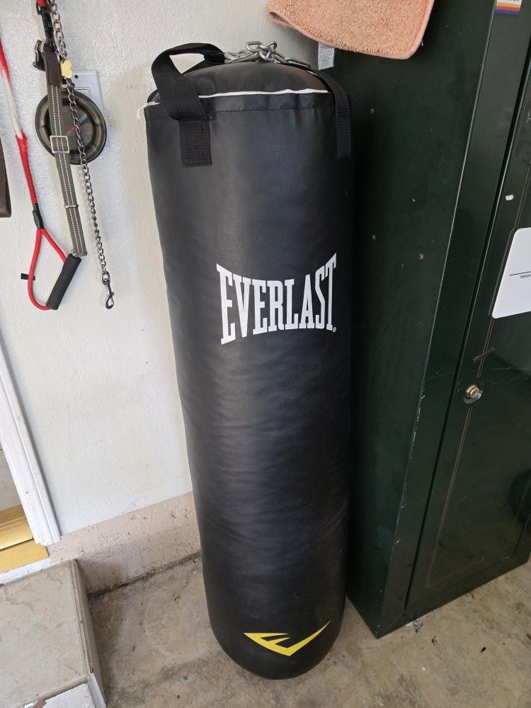 Everlast Punching Bag