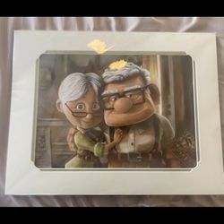 Disney movie UP