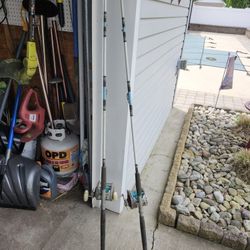Rod And Reel ( Penn 114-H )