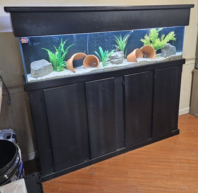 60 Gallon Long Fish Tank Aquarium 