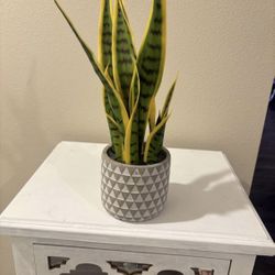 Snake Plant Artificial Plant