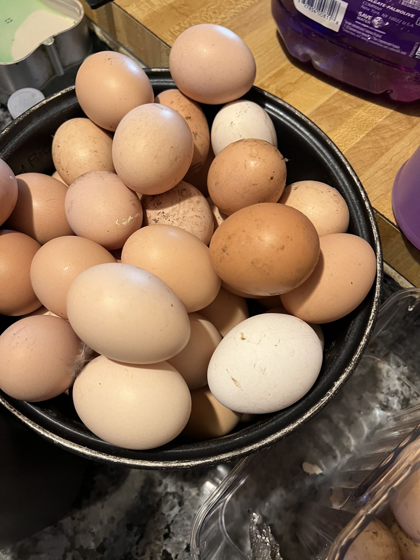 Eggs And Chicks