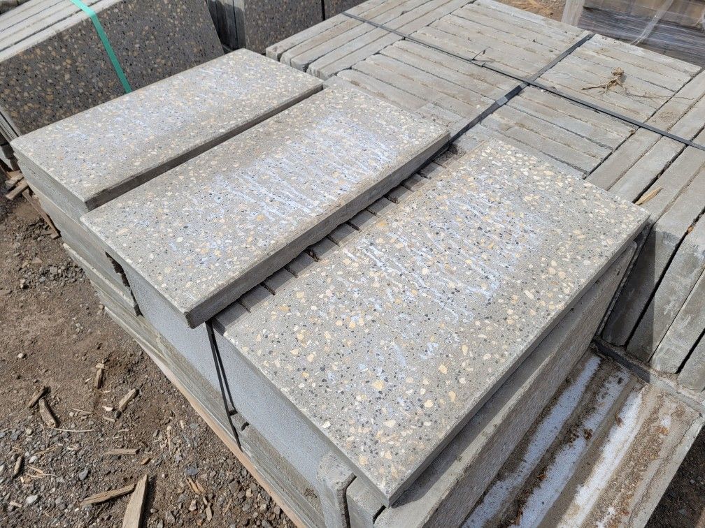 12X24 CEMENT STEPPING STONE PAVERS $10 EACH.