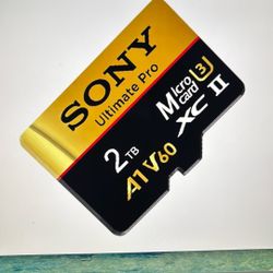 Sony 2TB Micro SD Card 