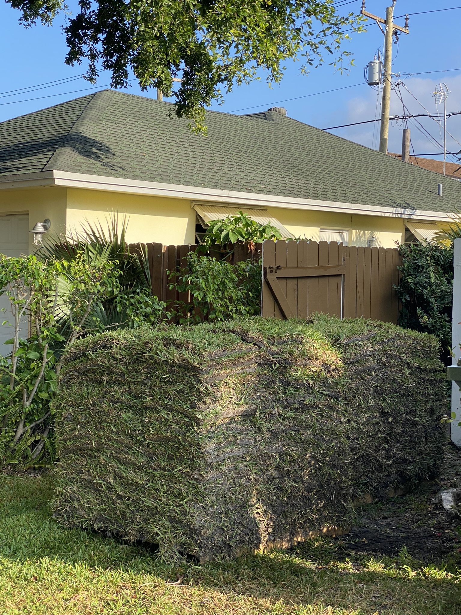 St Augustine Sod