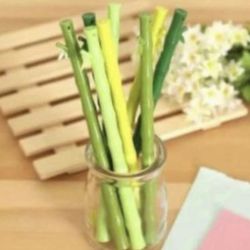 8pcs Bamboo Style Pens