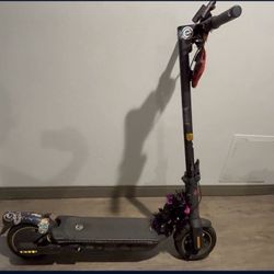 G2 Max Scotter 22mph