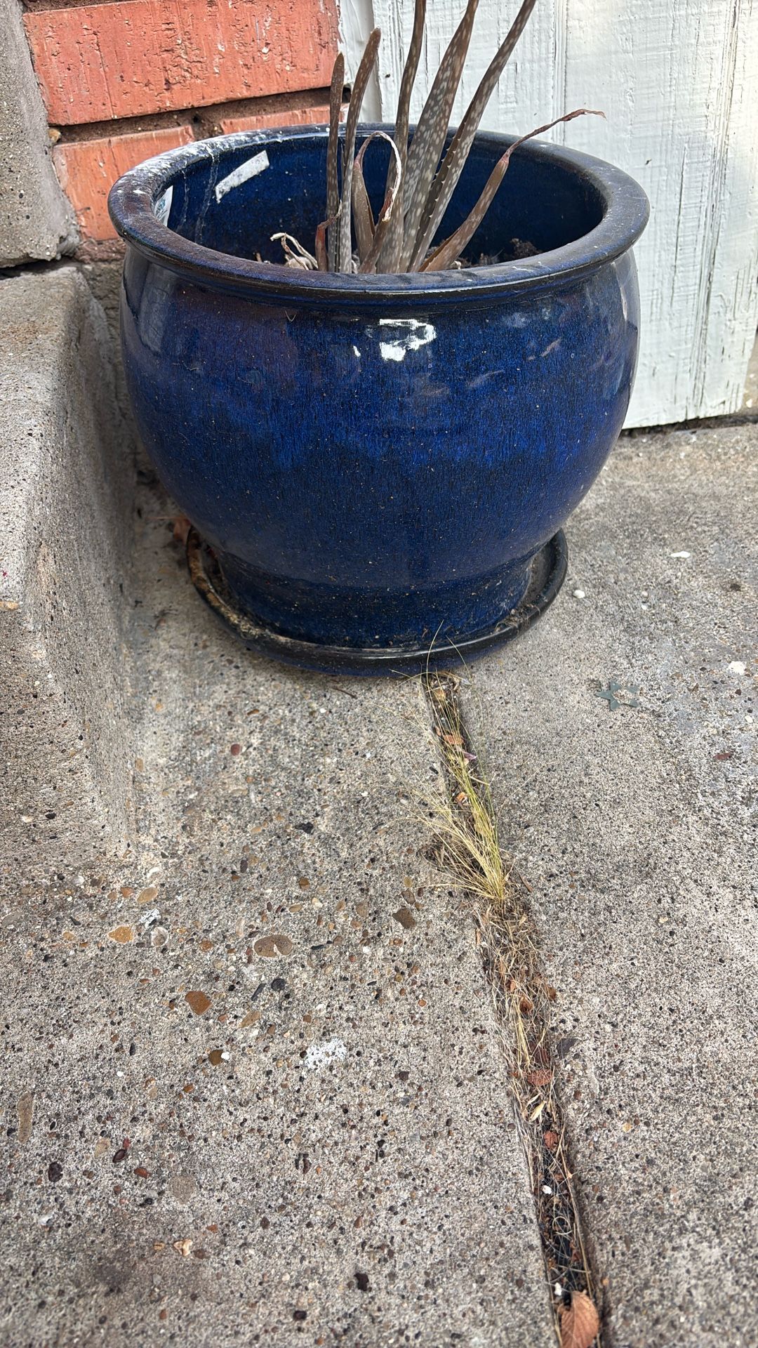 Blue ceramic pot