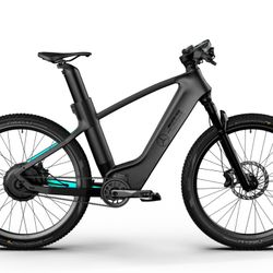 Mercedes-AMG PETRONAS F1® Team Rallye Edition 250 Electric Bike 