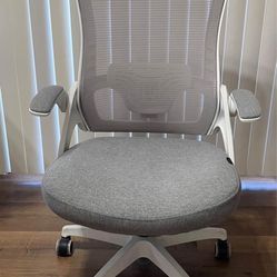 Desk Chair - Adjustable Height