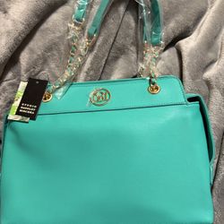Badgley Mischka Bag (New)