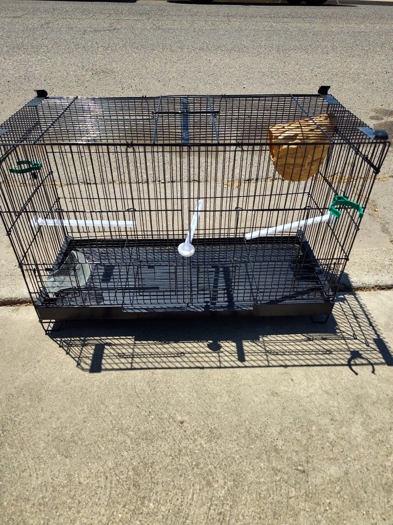 Bird Cage