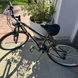 Roadmaster bike 24”