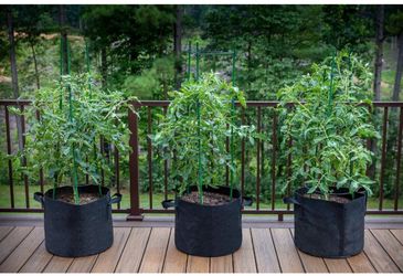 3 Gallon Fabric Grow Bags – Plant Pots
