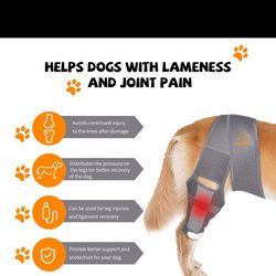 Dog Knee Brace