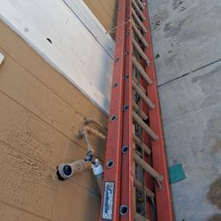 Ladder 32'