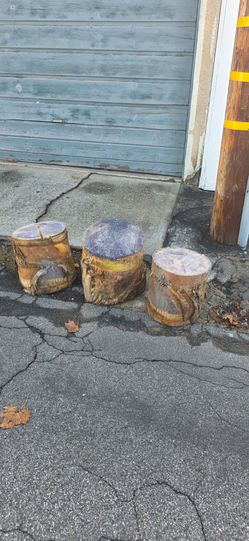 Palm tree stumps