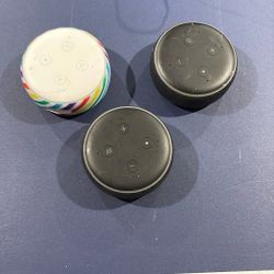 3 Amazon Alexa’s 