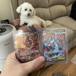 Pokemon Mega Charizard UPC Promos 