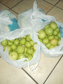 Guavas