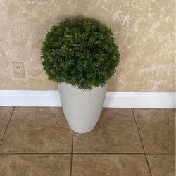 Artificial Plant