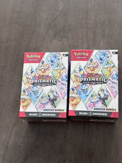 Prismatic bundle